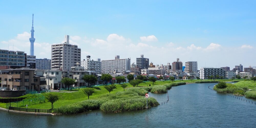 緑の川岸とその向こうに続くマンション街、遠くに東京スカイツリーがそびえる風景