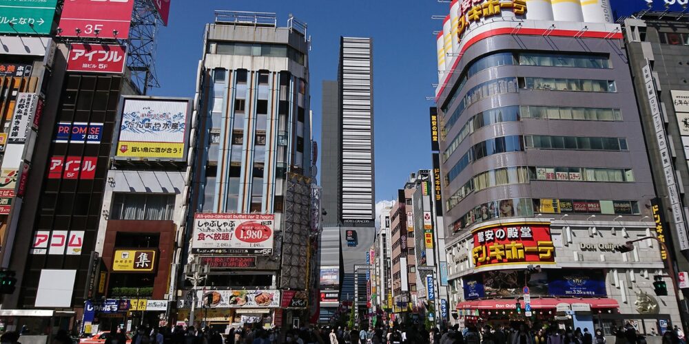 新宿副都心の高層ビル群と市街地を一望できるパノラマビュー